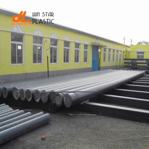 Dock Piling
